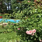 Ferienapartments Spreewaldwiesen Apartment Vetschau