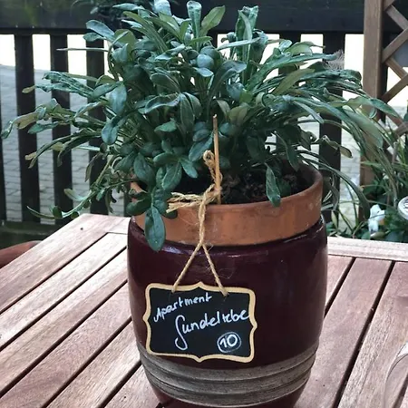 Ferienapartments Spreewaldwiesen Διαμέρισμα Vetschau