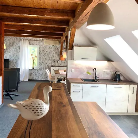 Spreewaldwiesen Apartments 公寓 韦茨乔