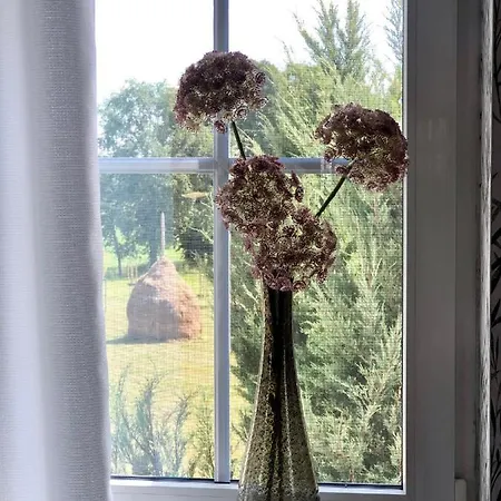 Διαμέρισμα Ferienapartments Spreewaldwiesen *