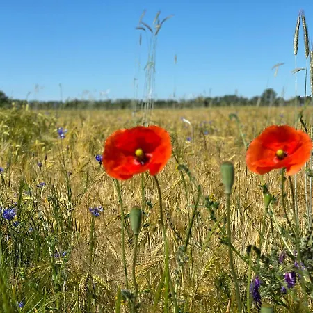 Ferienapartments Spreewaldwiesen Διαμέρισμα *