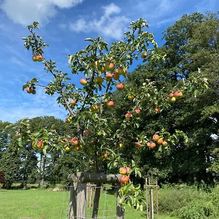 Ferienapartments Spreewaldwiesen * Vetschau