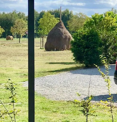 Apartament Ferienapartments Spreewaldwiesen *