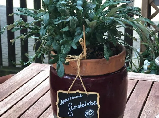 Ferienapartments Spreewaldwiesen Apartament Vetschau