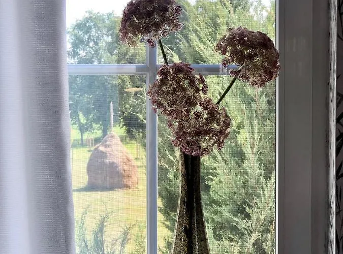 Apartament Ferienapartments Spreewaldwiesen *