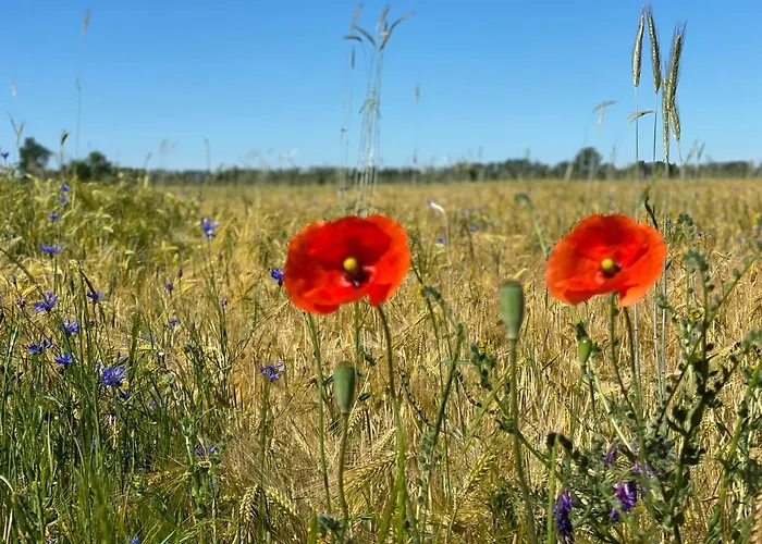 Ferienapartments Spreewaldwiesen Apartamento *
