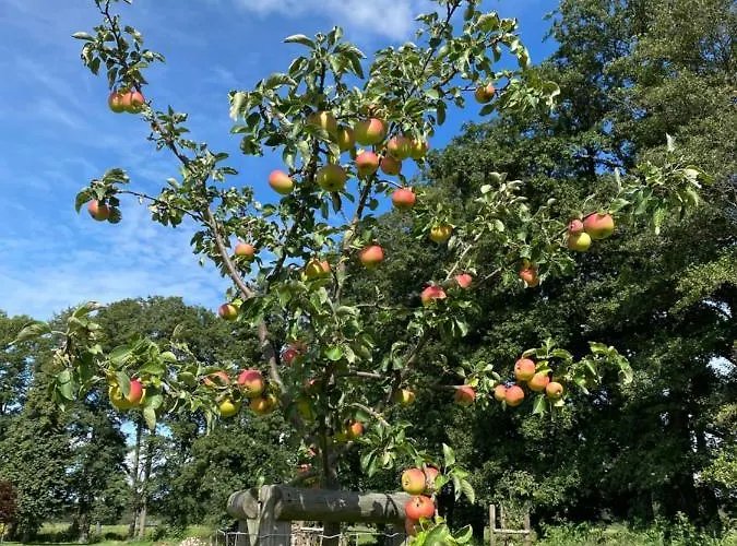 Ferienapartments Spreewaldwiesen * Vetschau